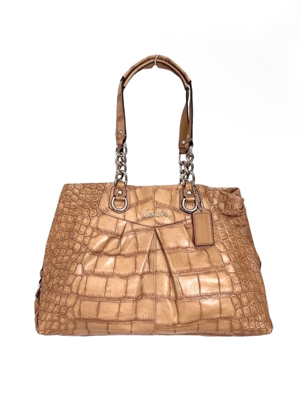 Coach Ashley Carryall Exotic F17661 Leather